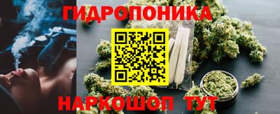 прущие крисы Ипатово
