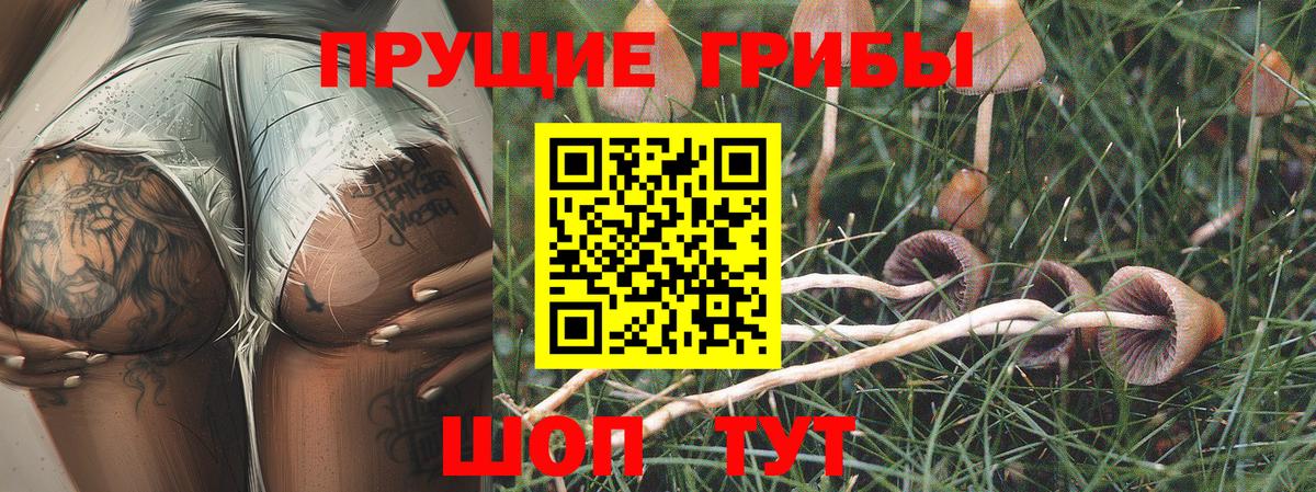 Лениногорск  продажа наркотиков  Вход с VPN  Галлюциногенные грибы прущие грибы 